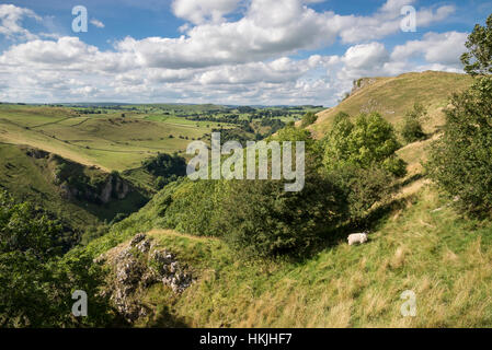 Schönen Sommertag im Bereich White Peak Peak District National Park, Derbyshire. Blick vom Hügel über Dovedale. Stockfoto