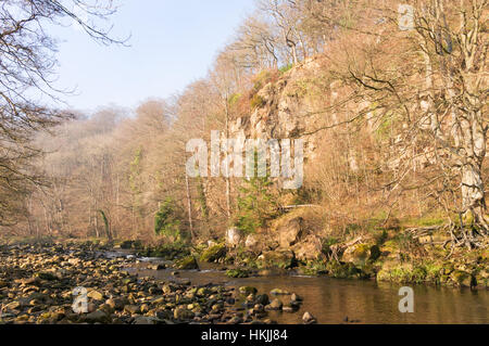 Raven Sie Felsen oberhalb des Flusses Allen, Northumberland, England, UK Stockfoto