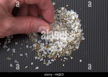 Nahaufnahme der menschlichen Hand mit Fenchel Stockfoto