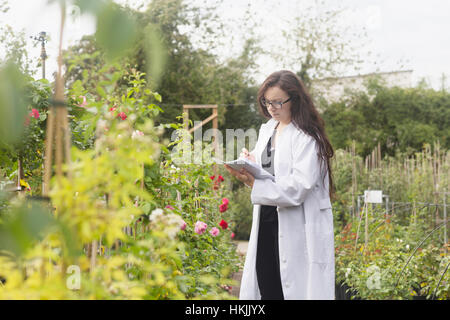 Wissenschaftlerin Inspektion Pflanzen im Gewächshaus, Freiburg Im Breisgau, Baden-Württemberg, Deutschland Stockfoto