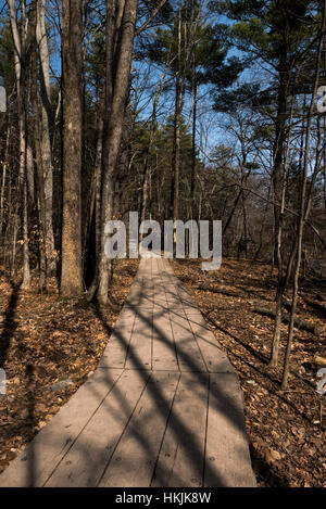 Promenade Weg durch Wald. Stockfoto