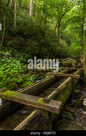 Wassertrog bringen Sie Wasser zum Alfred Reagan Wanne Mühle entlang der Roaring Fork River im Great Smoky Mountains National Park. Stockfoto