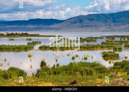 Lake Chamo, Äthiopien Stockfoto