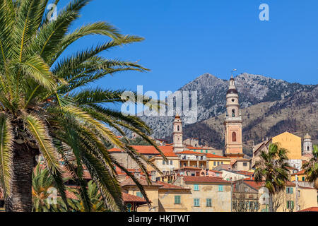 Palmen und alten Stadt Menton mit bunten Häusern und Kirchen unter blauem Himmel. Stockfoto