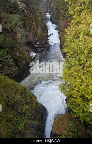 Englishman River Falls Provincial Park taumeln Gewässern durch die Schlucht.  SCO 11.703. Stockfoto