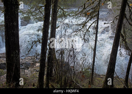 Englishman River Falls Provincial Park in der Nähe von Parksvill, Vancouver Island. Britisch-Kolumbien. Kanada.  SCO 11.705. Stockfoto