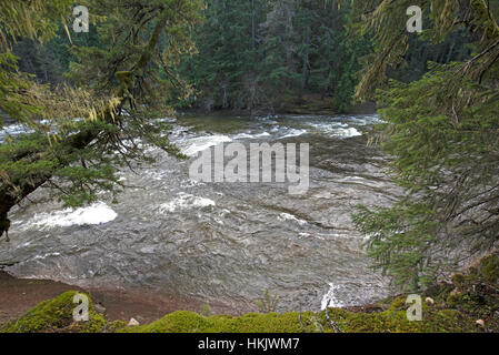 Englishman River Falls Provincial Park in der Nähe von Parksvill, Vancouver Island. Britisch-Kolumbien. Kanada.  SCO 11.707. Stockfoto