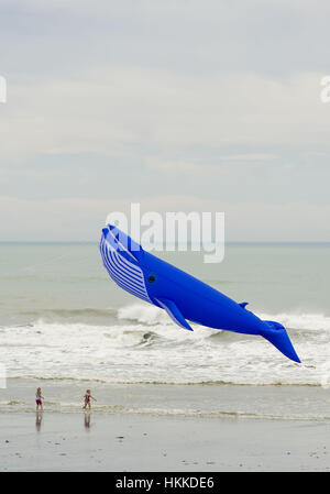 Christchurch, Neuseeland. 29. Januar 2017. Leichte Winde kein Crimp im Kite-Enthusiasten, die kam mit großen und kleinen bunten Drachen an der jährlichen Kite-Tages-Veranstaltung in New Brighton Beach gebracht. Einige der größeren Kites hatte eine harte Zeit bleiben bis in die Luft, einschließlich dieser Wal-Drachen. Bildnachweis: PJ Heller/ZUMA Draht/Alamy Live-Nachrichten Stockfoto