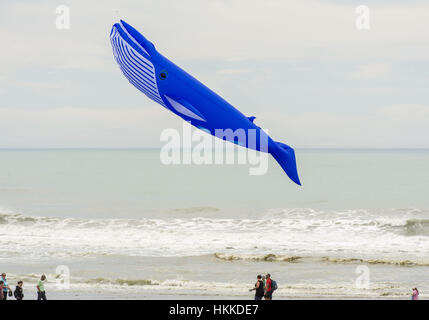 Christchurch, Neuseeland. 29. Januar 2017. Leichte Winde kein Crimp im Kite-Enthusiasten, die kam mit großen und kleinen bunten Drachen an der jährlichen Kite-Tages-Veranstaltung in New Brighton Beach gebracht. Einige der größeren Kites hatte eine harte Zeit bleiben bis in die Luft, einschließlich dieser Wal-Drachen. Bildnachweis: PJ Heller/ZUMA Draht/Alamy Live-Nachrichten Stockfoto
