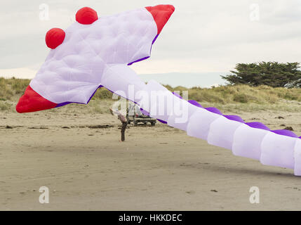 Christchurch, Neuseeland. 29. Januar 2017. Leichte Winde kein Crimp im Kite-Enthusiasten, die kam mit großen und kleinen bunten Drachen an der jährlichen Kite-Tages-Veranstaltung in New Brighton Beach gebracht. Einige der größeren Kites hatten einer harten Zeit in der Luft bleiben. Bildnachweis: PJ Heller/ZUMA Draht/Alamy Live-Nachrichten Stockfoto