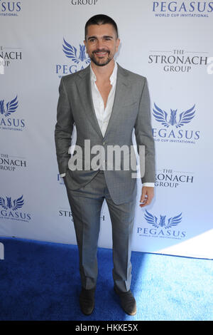 Hallandale, USA. 28. Januar 2017. Juanes besucht The Inaugural $ 12 Millionen Pegasus World Cup Invitational, der weltweit reichsten Thoroughbred Pferderennen in Gulfstream Park in Hallandale, Florida. Bildnachweis: Mpi04/Medien Punch/Alamy Live-Nachrichten Stockfoto