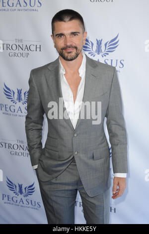 Hallandale, USA. 28. Januar 2017. Juanes besucht The Inaugural $ 12 Millionen Pegasus World Cup Invitational, der weltweit reichsten Thoroughbred Pferderennen in Gulfstream Park in Hallandale, Florida. Bildnachweis: Mpi04/Medien Punch/Alamy Live-Nachrichten Stockfoto