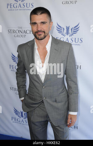 Hallandale, USA. 28. Januar 2017. Juanes besucht The Inaugural $ 12 Millionen Pegasus World Cup Invitational, der weltweit reichsten Thoroughbred Pferderennen in Gulfstream Park in Hallandale, Florida. Bildnachweis: Mpi04/Medien Punch/Alamy Live-Nachrichten Stockfoto