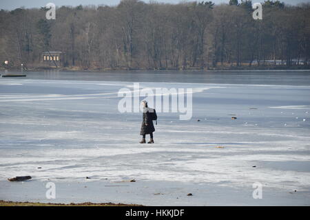 Berlin, Deutschland. 29. Januar 2017. Berlin Wetter: Menschen genießen schöne Winterwetter in Wannsee, Berlin Kredit: Markku Rainer Peltonen/Alamy Live News Stockfoto