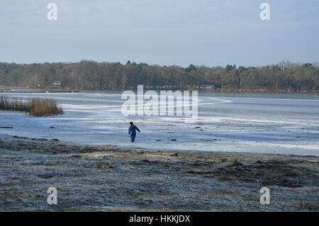 Berlin, Deutschland. 29. Januar 2017. Berlin Wetter: Menschen genießen schöne Winterwetter in Wannsee, Berlin Kredit: Markku Rainer Peltonen/Alamy Live News Stockfoto