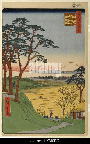 *100 Views Edo 084* ist ein Holzschnitt aus der Edo-Zeit, der eine detaillierte Szene des traditionellen japanischen Lebens zeigt. Das Kunstwerk ist Teil der Serie Views of Edo (heute Tokio), die die urbane Landschaft und Kultur Japans im 18. Jahrhundert dokumentiert. Stockfoto