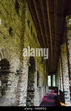 Kirche von Debre Birhan Selassie (Trinity und Mountain Light), Gondar, Äthiopien Stockfoto