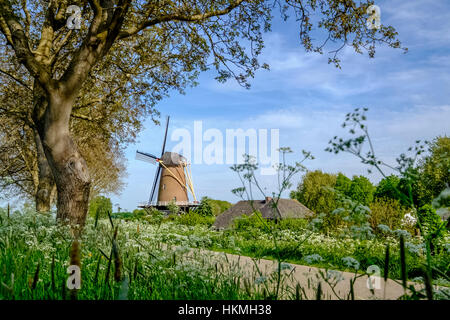 traditionelle holländische Windmühle in eine Sommerlandschaft mit blauem Himmel und weißen Wolken Stockfoto