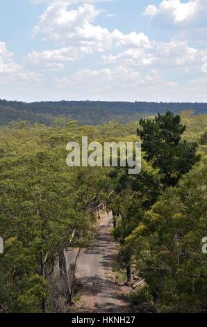 Straße durch den australischen Busch Stockfoto