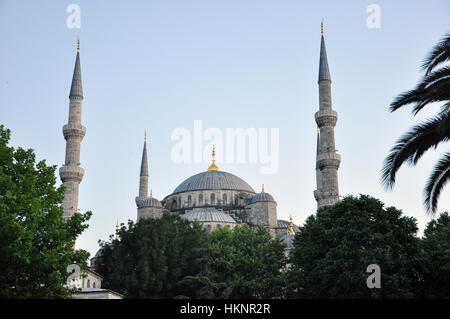 Sultan-Ahmed-Moschee in Istanbul Türkei Stockfoto