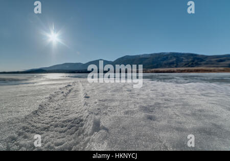 Fatbike. Fat Tire Bike. Stockfoto