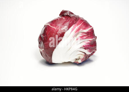 Italienische Rote Radicchio isoliert auf weißem Hintergrund Stockfoto