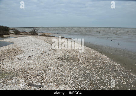 Küsten Tiefland am Kiefer Gully in Seabrook, Texas Stockfoto