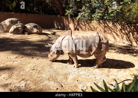 Panzernashorn, Rhinoceros Unicornis, gefunden in den Savannen von Indien und Nepal. Stockfoto