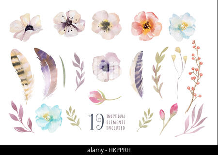 Aquarell Boho Blume Set. Frühjahr oder Sommer Dekoration floral d Stockfoto
