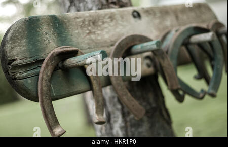 Alte Hufeisen hängen an einem Halter befestigt an einem Baum wartet auf das nächste Spiel. Stockfoto