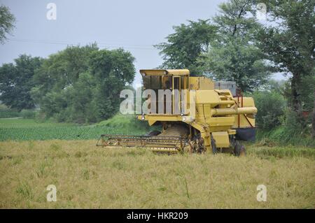 Landwirt Ernte Felder auf einer Erntemaschine am Abend Stockfoto