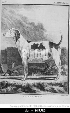 Dieses Kunstwerk mit dem Titel *Chien Courant* basiert auf den Schriften von Georges-Louis Leclerc, Comte de Buffon, die sein Interesse an Tieren zeigen. Das Stück fängt das Wesen eines Jagdhundes ein und betont den Naturalismus der französischen Kunst des 18. Jahrhunderts. Stockfoto