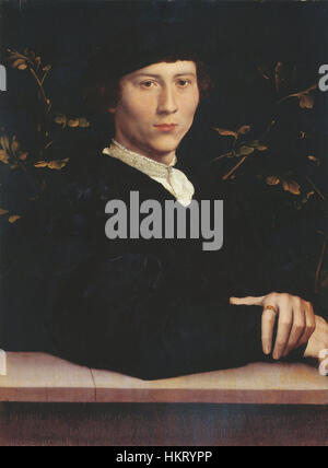 Dieses Gemälde von Hans Holbein dem Jüngeren stellt Derich Born dar, eine bemerkenswerte Figur des 16. Jahrhunderts. Holbeins meisterhafte Anwendung des Realismus fängt Borns detaillierte Merkmale ein und bietet einen Einblick in die Kunst und Kultur dieser Zeit. Stockfoto