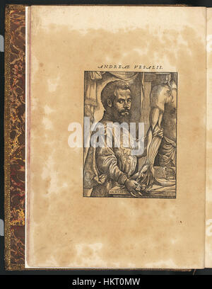 Die de humani corporis fabrica ist ein bahnbrechendes Werk von Andreas Vesalius, das detaillierte Illustrationen der menschlichen Anatomie zeigt. Das Buch, das erstmals 1543 veröffentlicht wurde, revolutionierte das Studium der menschlichen Biologie und Anatomie mit seinen hochpräzisen und künstlerischen Darstellungen. Stockfoto