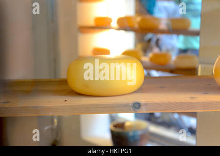 Berühmten holländischen Gouda Stockfoto