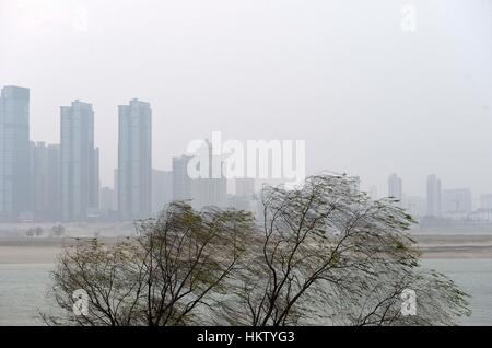 Der chinesischen Nanchang, Jiangxi Provinz. 30. Januar 2017. Bäume sind durch starken Wind in Nanchang, Hauptstadt der Osten Chinas Jiangxi Provinz, 30. Januar 2017 geblasen. Eine Kaltfront brachte Stürme und Draged Temperaturen hier unten. Bildnachweis: Peng Zhaozhi/Xinhua/Alamy Live-Nachrichten Stockfoto