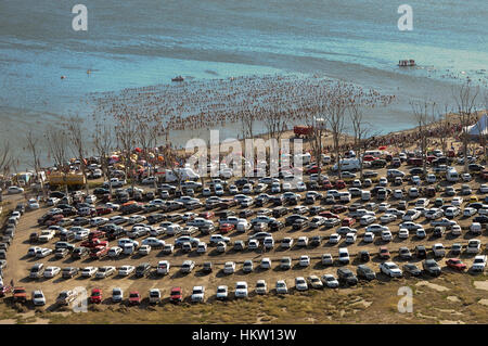 Buenos Aires, Argentinien. 29. Januar 2017. Menschen Baden in den Epecuen-See, bekannt für die heilende Wirkung seiner gesalzenes Wasser in Buenos Aires, Argentinien, auf 29. Januar 2017. Laut Lokalpresse nahmen fast 2.000 Menschen an dieser Aktivität zu versuchen, einen Guinness-Rekord zu schlagen. Bildnachweis: Alejandro Moritz/TELAM/Xinhua/Alamy Live-Nachrichten Stockfoto