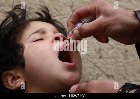 (170130)--GHAZNI, 30. Januar 2017 (Xinhua)--eine afghanische Kind erhält einen Polio-Impfstoff während einer Anti-Polio-Kampagne in der Provinz Ghazni, Afghanistan, 30. Januar 2017. Afghanistan eine Impfkampagne gegen Polio-Virus angepfiffen, als das Land zu kämpfen, die ansteckende Krankheit auszurotten, sagte das Ministerium für öffentliche Gesundheit am Montag. (Xinhua/Sayed Mominzadah) (Dtf) Stockfoto