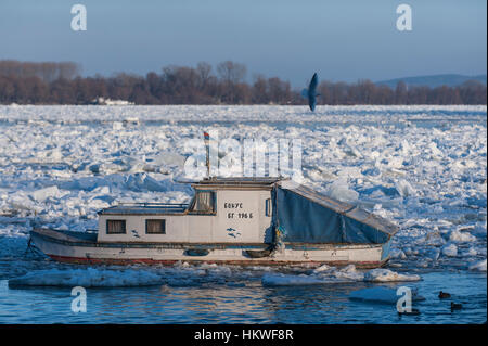 Belgrad, Serbien, Januar 2017, kleines Boot auf zugefrorenen Donau in Belgrad Stockfoto