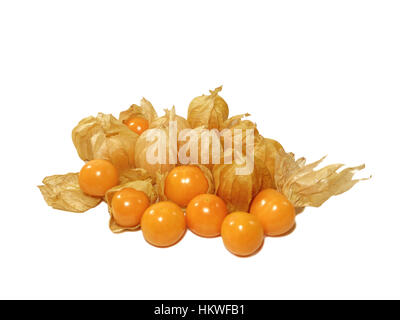 Viele lebendige gelb reifere Kap-Stachelbeeren, einige mit Kelch und einige ohne Kelch auf weißem Hintergrund isoliert Stockfoto