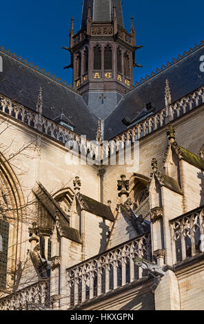 Sint-Pieterskerk. St Peter Kirche Leuven Belgien Stockfoto