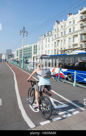 Radweg direkt an Strandpromenade, Brighton, East Sussex, England, Vereinigtes Königreich Stockfoto