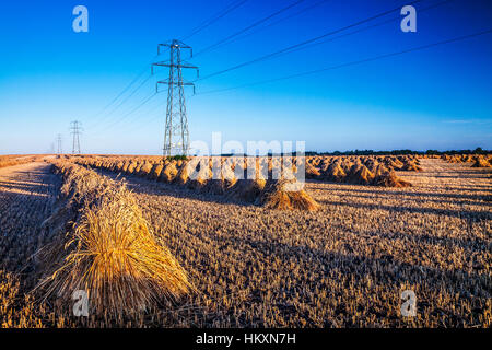 Traditionelle Stooks gegen moderne Strommasten in einem Feld in Wiltshire, UK gegenübergestellt. Stockfoto