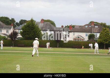 Männer, die Batsmen, Menschen tragen weisse spielen Kricket auf einer frischen Grün, Dublin, Irland Stockfoto