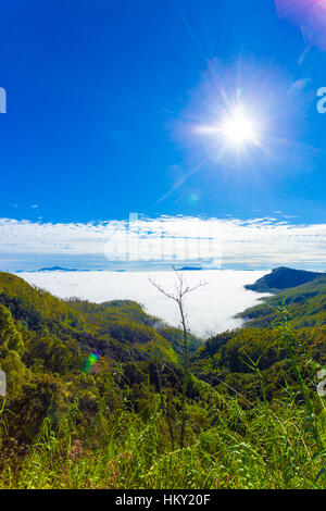 Ein Meer von Wolken bedeckt das Tal von oben in den Bergen des Hill Country in Haputale, Sri Lanka gesehen. Vertikal Stockfoto