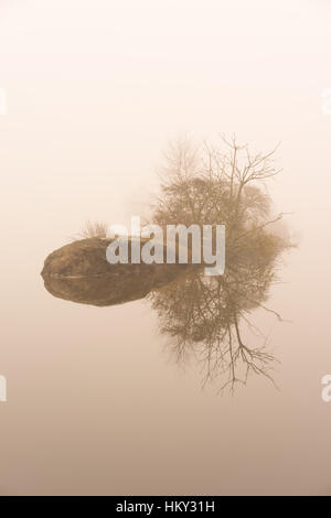 Kleine Insel im Nebel auf dem Wasser. Mystischen See Stockfoto
