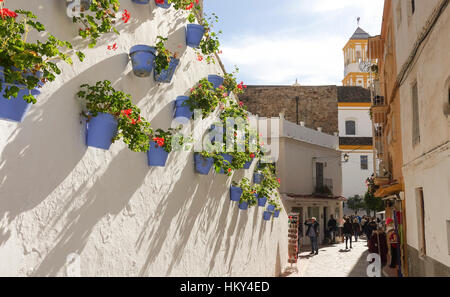 Dekorationen auf Wand mit blauen Blumentöpfe in der Straße Calle Carmen, Marbella, Andalusien, Spanien. Stockfoto