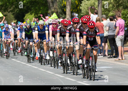 Radfahrer von Giant-Alpecin Team in der zweiten Phase des Giro d ' Italia 2016 in Beuningen, Niederlande Stockfoto