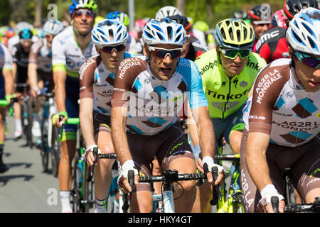 Fahrer des Team AG2R La Mondiale unter anderem in der zweiten Phase des Giro d ' Italia 2016 in Beuningen, Niederlande Stockfoto