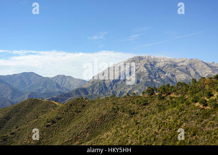 La Torrecilla Peak, Berge im Naturpark Sierra de las Nieves, Andalusien, Spanien Stockfoto